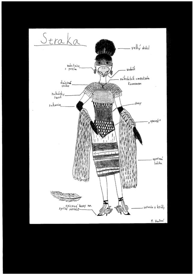 Marie Houfova 11 let